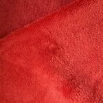IMG 4755