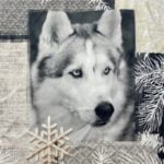 Coupon de tissu - Loup N°3