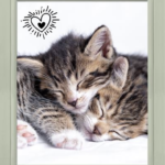 Coupon de tissu - Choupinou, vert