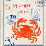 Coupon de tissu - J'en pince pour toi