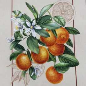 Coupon de tissu - Oranges ensoleillées