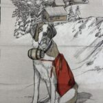 Coupon de tissu - Saint Bernard