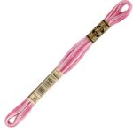 Échevette DMC Mouliné Spécial 25, coloris 48