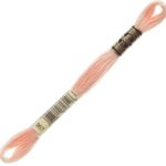 Échevette DMC Mouliné Spécial 25, coloris 967