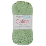 Pelote de fil à tricoter Caline Trimits, coloris Vert sauge