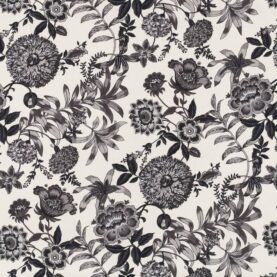 Toile de coton Jacobine édition Thevenon Paris - Noir fond crème