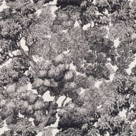 Toile de coton Tree for Two édition Thevenon Paris - Noir fond blanc cassé