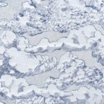 Tissu Nuage - Bleu marine et blanc