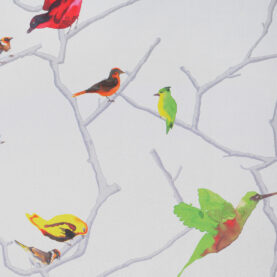 Tissu obscurcissant Colibri - Multicolore sur fond gris clair