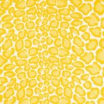Toile brodée "Coup de Griffe" édition Thevenon Paris - Jaune OEKO-TEX
