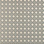 Velours extérieur "Cannage" édition Thevenon Paris - Gris fond écru